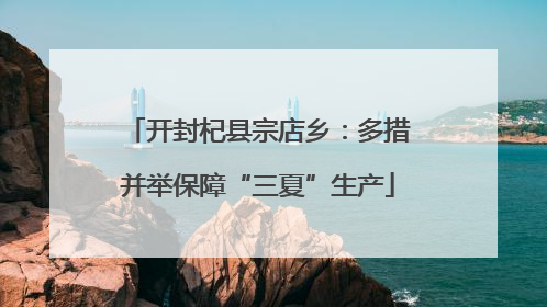 开封杞县宗店乡：多措并举保障“三夏”生产