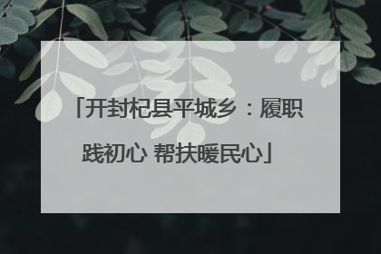 开封杞县平城乡：履职践初心 帮扶暖民心