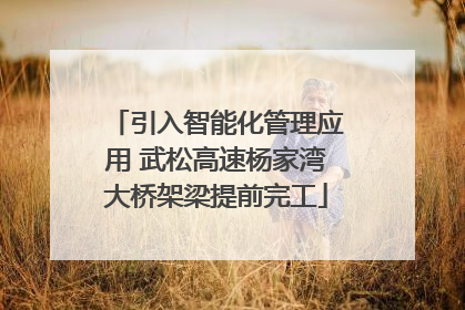 引入智能化管理应用 武松高速杨家湾大桥架梁提前完工