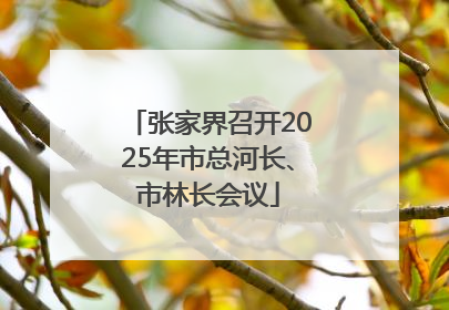 张家界召开2025年市总河长、市林长会议