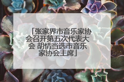 张家界市音乐家协会召开第五次代表大会 胡情当选市音乐家协会主席