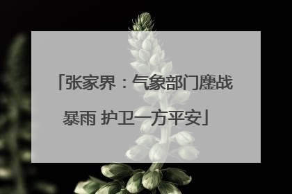 张家界：气象部门鏖战暴雨 护卫一方平安