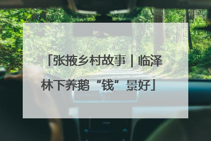 张掖乡村故事｜临泽林下养鹅“钱”景好