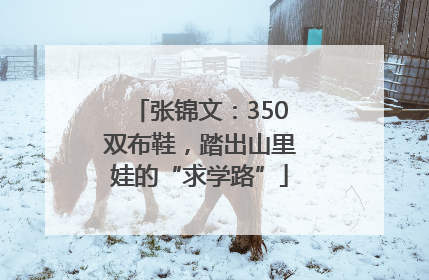 张锦文：350双布鞋，踏出山里娃的“求学路”