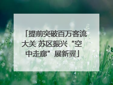 提前突破百万客流大关 苏区振兴“空中走廊”展新翼