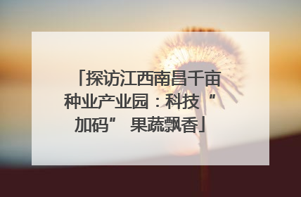 探访江西南昌千亩种业产业园：科技“加码” 果蔬飘香