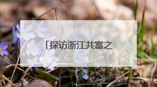 探访浙江共富之“路”：县城“虾路”焕生机