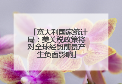 意大利国家统计局：美关税政策将对全球经贸前景产生负面影响