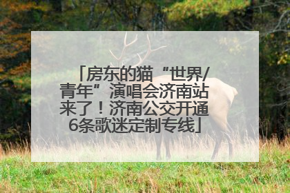 房东的猫“世界/青年”演唱会济南站来了！济南公交开通6条歌迷定制专线