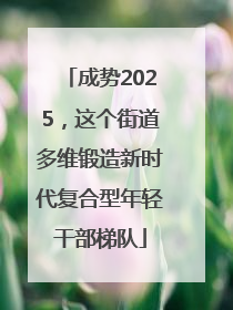 成势2025，这个街道多维锻造新时代复合型年轻干部梯队