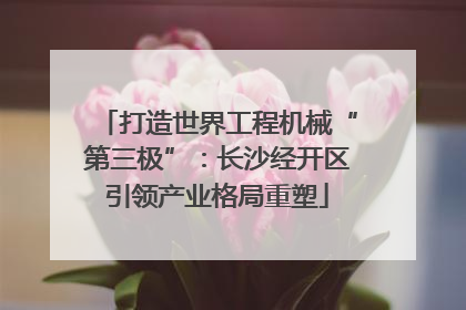 打造世界工程机械“第三极”：长沙经开区引领产业格局重塑
