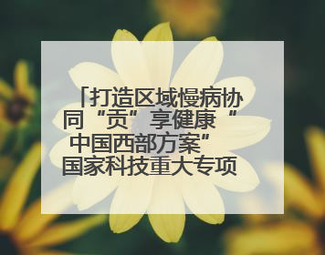 打造区域慢病协同“贡”享健康“中国西部方案” 国家科技重大专项落地自贡