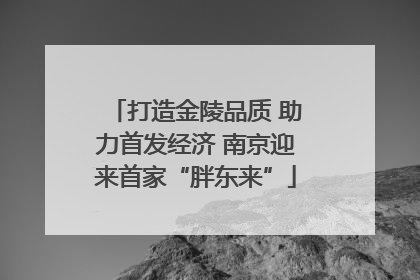 打造金陵品质 助力首发经济 南京迎来首家“胖东来”