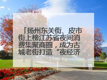 扬州东关街、皮市街上榜江苏省夜间消费集聚商圈，成为古城老街打造“夜经济”的样本