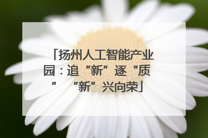 扬州人工智能产业园：追“新”逐“质” “新”兴向荣