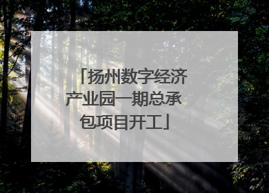 扬州数字经济产业园一期总承包项目开工
