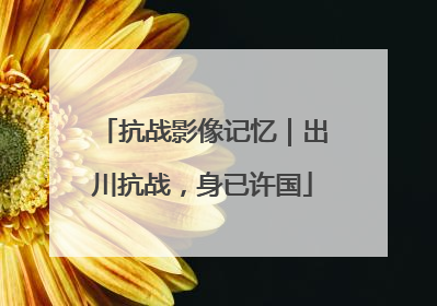 抗战影像记忆｜出川抗战，身已许国