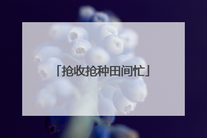 抢收抢种田间忙