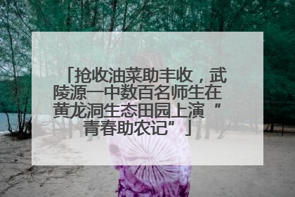 抢收油菜助丰收，武陵源一中数百名师生在黄龙洞生态田园上演“青春助农记”