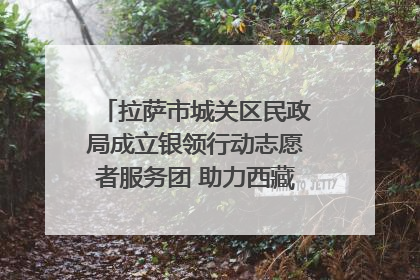 拉萨市城关区民政局成立银领行动志愿者服务团 助力西藏银发经济发展