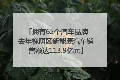 拥有65个汽车品牌 去年槐荫区新能源汽车销售额达113.9亿元