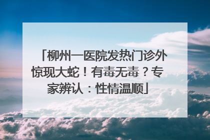 柳州一医院发热门诊外惊现大蛇！有毒无毒？专家辨认：性情温顺