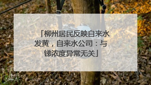 柳州居民反映自来水发黄，自来水公司：与锑浓度异常无关