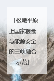松嫩平原上国家粮食与能源安全的三峡融合示范