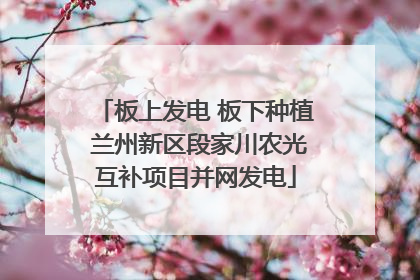 板上发电 板下种植 兰州新区段家川农光互补项目并网发电
