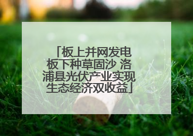 板上并网发电 板下种草固沙 洛浦县光伏产业实现生态经济双收益