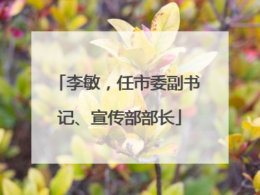 李敏，任市委副书记、宣传部部长