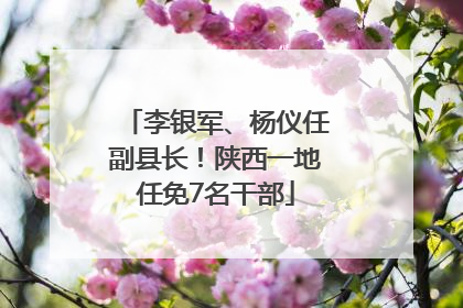 李银军、杨仪任副县长！陕西一地任免7名干部