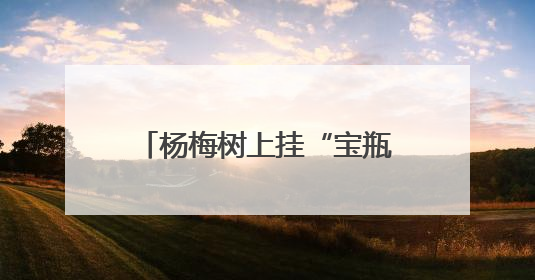 杨梅树上挂“宝瓶” 科技助力定海晚稻杨梅走出海岛
