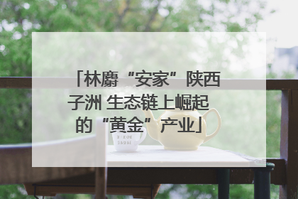 林麝“安家”陕西子洲 生态链上崛起的“黄金”产业