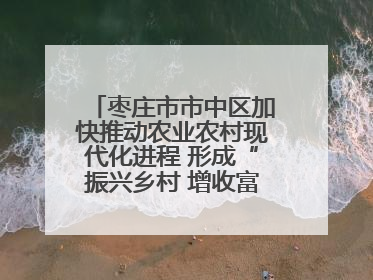枣庄市市中区加快推动农业农村现代化进程 形成“振兴乡村 增收富农”新格局