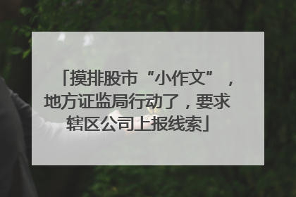 摸排股市“小作文”，地方证监局行动了，要求辖区公司上报线索
