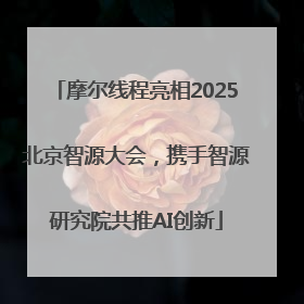 摩尔线程亮相2025北京智源大会，携手智源研究院共推AI创新