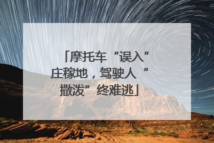 摩托车“误入”庄稼地，驾驶人“撒泼”终难逃
