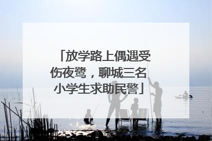 放学路上偶遇受伤夜鹭，聊城三名小学生求助民警