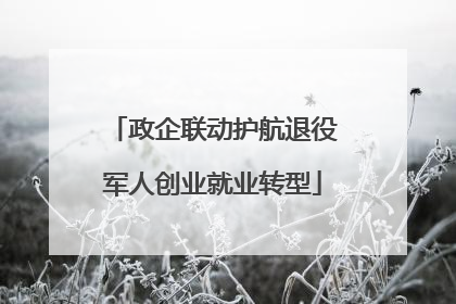 政企联动护航退役军人创业就业转型
