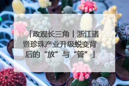政观长三角丨浙江诸暨珍珠产业升级蜕变背后的“放”与“管”