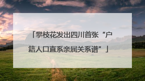 攀枝花发出四川首张“户籍人口直系亲属关系谱”