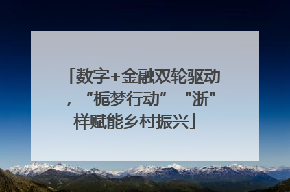数字+金融双轮驱动，“栀梦行动”“浙”样赋能乡村振兴
