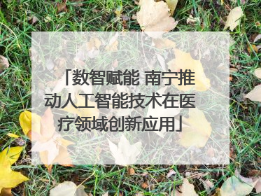 数智赋能 南宁推动人工智能技术在医疗领域创新应用