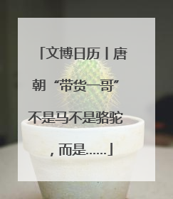 文博日历丨唐朝“带货一哥”不是马不是骆驼，而是……