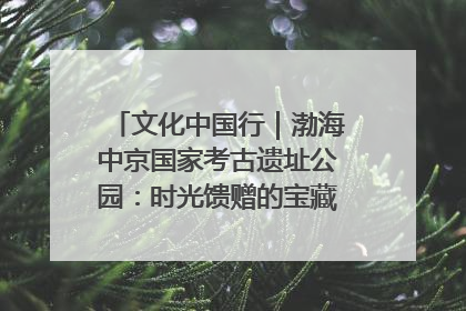 文化中国行｜渤海中京国家考古遗址公园：时光馈赠的宝藏 历史凝固的诗篇