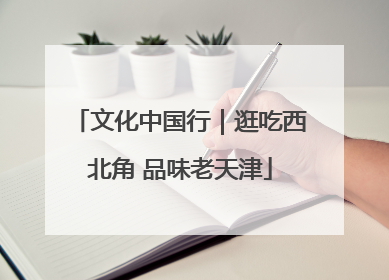 文化中国行｜逛吃西北角 品味老天津