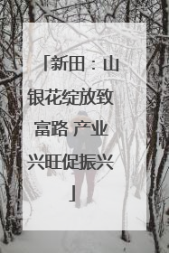 新田：山银花绽放致富路 产业兴旺促振兴