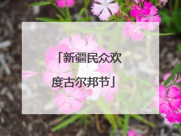 新疆民众欢度古尔邦节
