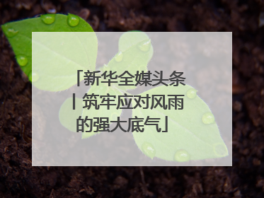 新华全媒头条丨筑牢应对风雨的强大底气